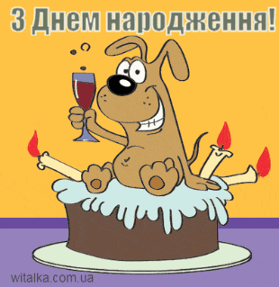 Привітання з днем народження - собака з вином